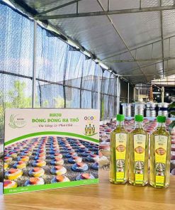 Rượu Đòng Đòng Hạ Thổ Chai Nhựa 500ml