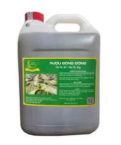 Rượu Đòng Đòng Hạ Thổ Can 5l