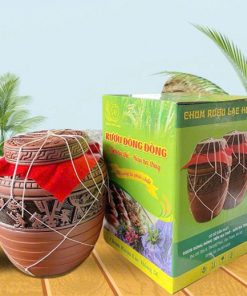 Rượu Đòng Đòng Hạ Thổ Chum Sành 5l